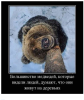 Клуб Ниссан Террано | Форум Terrano-Club.Ru | Фото: 6.png