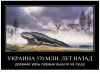 Клуб Ниссан Террано | Форум Terrano-Club.Ru | Фото: 1.png