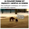 Клуб Ниссан Террано | Форум Terrano-Club.Ru | Фото: 4.png