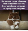 Клуб Ниссан Террано | Форум Terrano-Club.Ru | Фото: 1.png