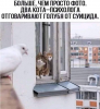 Клуб Ниссан Террано | Форум Terrano-Club.Ru | Фото: 4.png