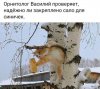 Клуб Ниссан Террано | Форум Terrano-Club.Ru | Фото: 18471186.jpg