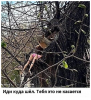 Клуб Ниссан Террано | Форум Terrano-Club.Ru | Фото: 3.png