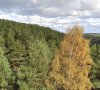Клуб Ниссан Террано | Форум Terrano-Club.Ru | Фото: 8а.jpg