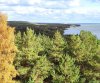 Клуб Ниссан Террано | Форум Terrano-Club.Ru | Фото: 9.jpg