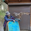 Клуб Ниссан Террано | Форум Terrano-Club.Ru | Фото: 10а.jpg