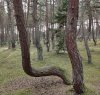 Клуб Ниссан Террано | Форум Terrano-Club.Ru | Фото: 21.jpg