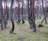 Клуб Ниссан Террано | Форум Terrano-Club.Ru | Фото: 22.jpg