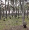 Клуб Ниссан Террано | Форум Terrano-Club.Ru | Фото: 23.jpg