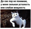 Клуб Ниссан Террано | Форум Terrano-Club.Ru | Фото: 3.png