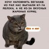 Клуб Ниссан Террано | Форум Terrano-Club.Ru | Фото: шахимат.jpg