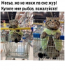 Клуб Ниссан Террано | Форум Terrano-Club.Ru | Фото: 5.png