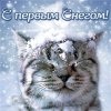 Клуб Ниссан Террано | Форум Terrano-Club.Ru | Фото: IMG-20231027-WA0000.jpg
