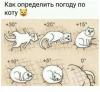 Клуб Ниссан Террано | Форум Terrano-Club.Ru | Фото: 2.png