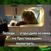 Клуб Ниссан Террано | Форум Terrano-Club.Ru | Фото: IMG-20231105-WA0000.jpg