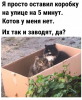 Клуб Ниссан Террано | Форум Terrano-Club.Ru | Фото: 3.png