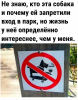 Клуб Ниссан Террано | Форум Terrano-Club.Ru | Фото: 5.png