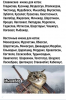 Клуб Ниссан Террано | Форум Terrano-Club.Ru | Фото: 3.png