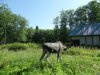 Клуб Ниссан Террано | Форум Terrano-Club.Ru | Фото: SDC13564.JPG
