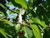 DSC00456с.jpg