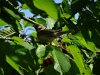 DSC00457с.jpg