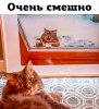 Клуб Ниссан Террано | Форум Terrano-Club.Ru | Фото: 18633839.jpg