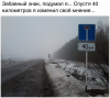 Клуб Ниссан Террано | Форум Terrano-Club.Ru | Фото: 4.png