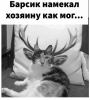 Клуб Ниссан Террано | Форум Terrano-Club.Ru | Фото: 7.png