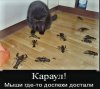 Клуб Ниссан Террано | Форум Terrano-Club.Ru | Фото: IMG-20231215-WA0015.jpg