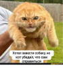 Клуб Ниссан Террано | Форум Terrano-Club.Ru | Фото: 2.png