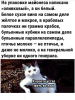 Клуб Ниссан Террано | Форум Terrano-Club.Ru | Фото: 2.png
