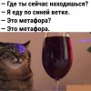Клуб Ниссан Террано | Форум Terrano-Club.Ru | Фото: 18730439.jpg