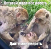 Клуб Ниссан Террано | Форум Terrano-Club.Ru | Фото: 3.png