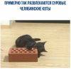 Клуб Ниссан Террано | Форум Terrano-Club.Ru | Фото: 3.png