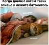 Клуб Ниссан Террано | Форум Terrano-Club.Ru | Фото: 3.png