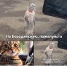 Клуб Ниссан Террано | Форум Terrano-Club.Ru | Фото: бородинская.jpg