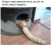 Клуб Ниссан Террано | Форум Terrano-Club.Ru | Фото: 1.png