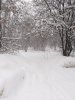 Клуб Ниссан Террано | Форум Terrano-Club.Ru | Фото: IMG_20240207_164908_resize_26.jpg