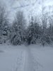 Клуб Ниссан Террано | Форум Terrano-Club.Ru | Фото: IMG_20240211_123926_resize_95.jpg