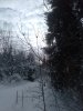Клуб Ниссан Террано | Форум Terrano-Club.Ru | Фото: IMG_20240211_123930_resize_55.jpg