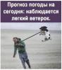 Клуб Ниссан Террано | Форум Terrano-Club.Ru | Фото: 1.png