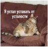 Клуб Ниссан Террано | Форум Terrano-Club.Ru | Фото: 7.png