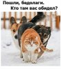 Клуб Ниссан Террано | Форум Terrano-Club.Ru | Фото: 2.png