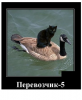 Клуб Ниссан Террано | Форум Terrano-Club.Ru | Фото: 5.png