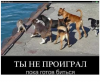 Клуб Ниссан Террано | Форум Terrano-Club.Ru | Фото: 6.png