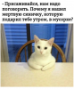 Клуб Ниссан Террано | Форум Terrano-Club.Ru | Фото: 1.png