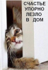 Клуб Ниссан Террано | Форум Terrano-Club.Ru | Фото: 4.png