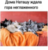 Клуб Ниссан Террано | Форум Terrano-Club.Ru | Фото: 2.png