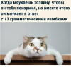 Клуб Ниссан Террано | Форум Terrano-Club.Ru | Фото: 1.png