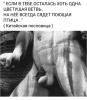 Клуб Ниссан Террано | Форум Terrano-Club.Ru | Фото: 4.png